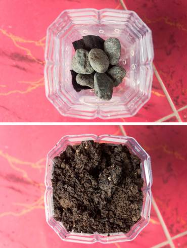 For drainage place a few rocks in your planter before adding a layer of soil. Now you’re ready for planting.