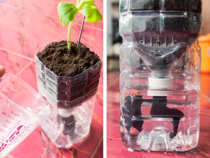 Once your plant is comfortable in its new home water it by pouring water through the watering hole. Notice the water line should be at least as high as the bottle cap.