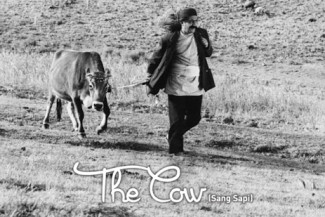 Ayorek Events - Klab Sinema Atap The Cow